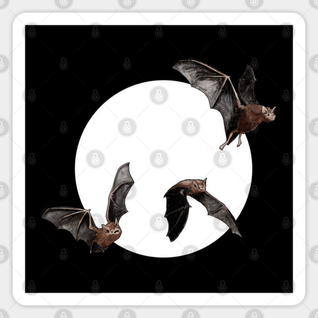 Bats Sticker